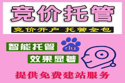 百度广告投放的创意策略及案例分析